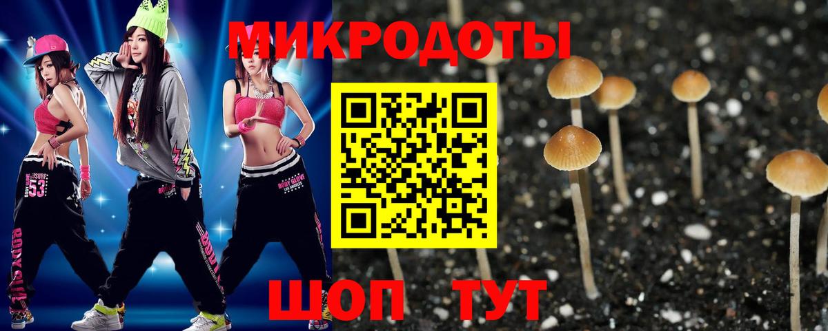Галлюциногенные грибы GOLDEN TEACHER  Псилоцибиновые грибы MAGIC MUSHROOMS  Ишим  Вход с VPN 
